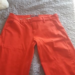 LIVERPOOL PANTS PETITE 12/31